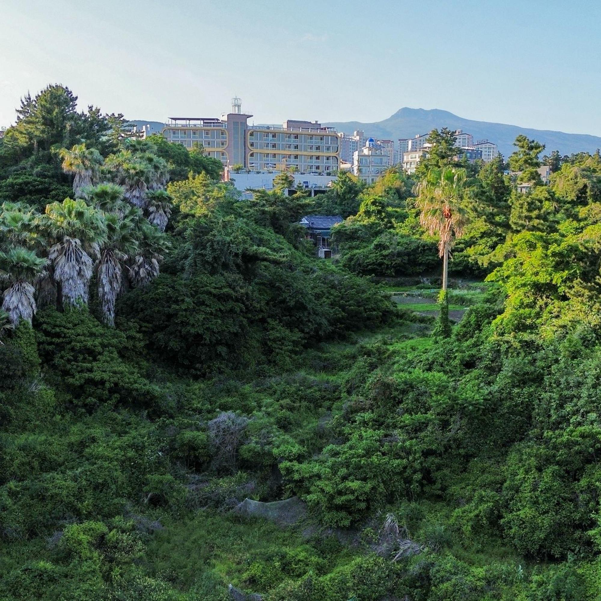 Goldone Hotel & Suites Seogwipo Ngoại thất bức ảnh